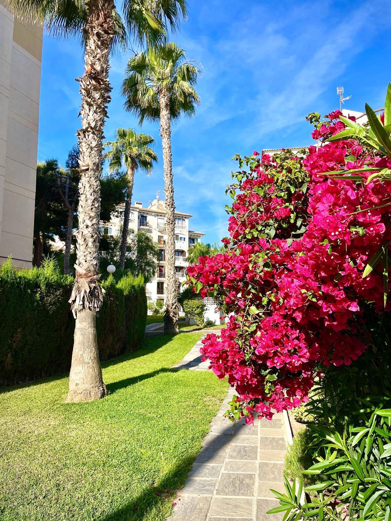Calas Blancas Torrevieja Zewnętrze zdjęcie